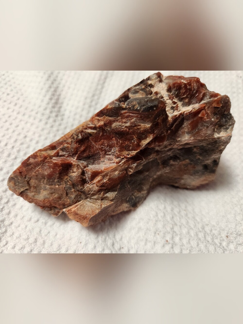 NATURAL RAINBOW PETRIFIED WOOD OF ARIZONA. As Shown In Photos.